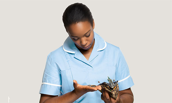 Pay nursing students for placements: student taking small change from her purse