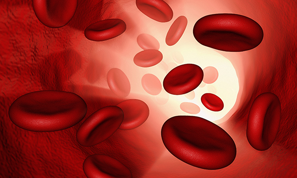 Blood cells