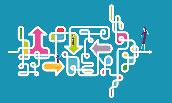 Career path