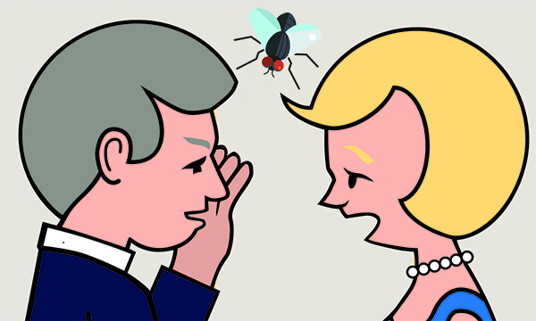 Fly on the wall