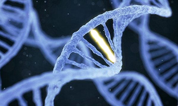 Gene mutation