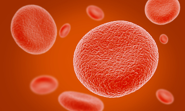 Red_Blood_02-iStock.jpg