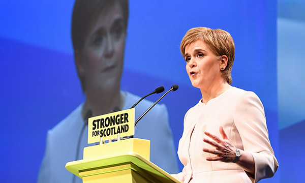 Sturgeon