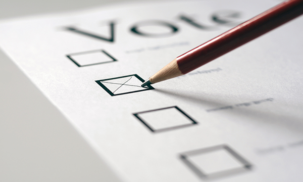 Voting