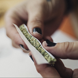 Drug use: a cannabis joint being rolled