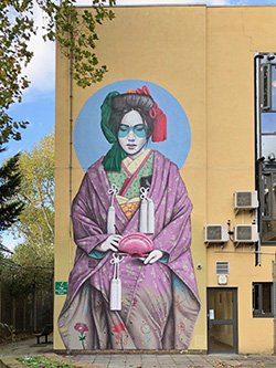 Part of the mural by urban street artist Fin Dac at Shannon Ward