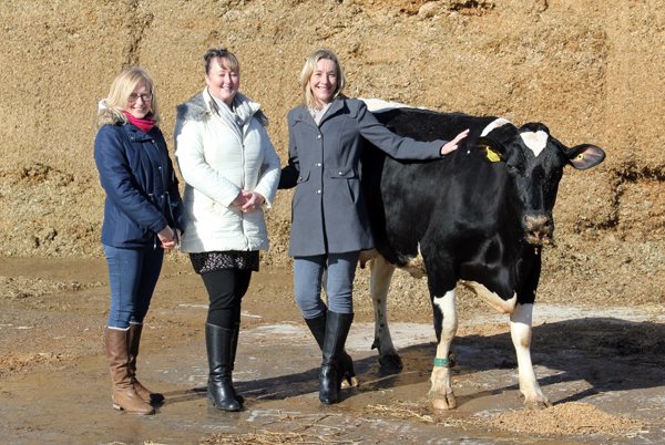 From left to right: Kerry Scott, deputy ward manager, Caroline Shaw, ward manager, Louise Farmer, specialist radiographer and Kirkandrews Ponder Cactus Four, the cow