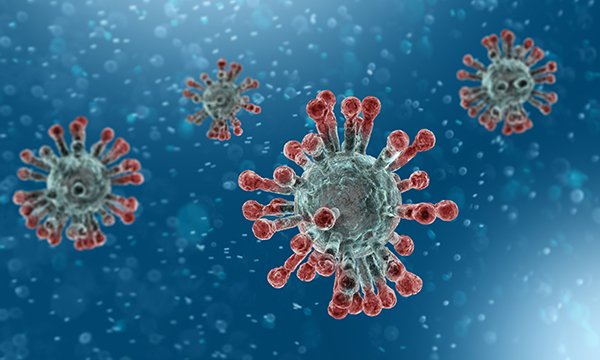 The new, more transmissible strain of coronavirus