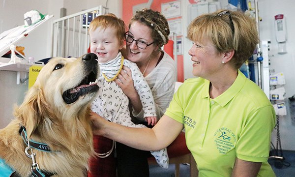 Children’s therapy dogs