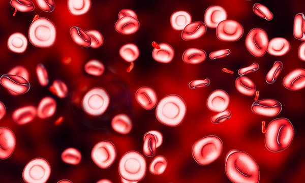 Red blood cells. Picture: Alamy