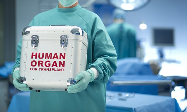 Image of health professional in scrubs holding a small organ transport box