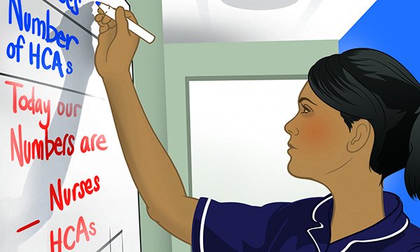 Illustration of a nurse writing on a staff rota board, with healthcare assistant and nurse numbers recorded