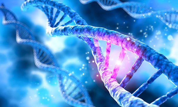 A dynamic illustration of a strand of DNA looking like a blue spiralling ladder with a section highlighted in pink