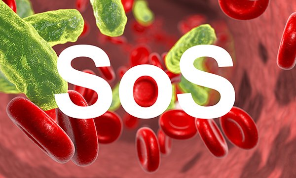 Computer illustration of sepsis infection and red blood cells with SoS written over it white lettering