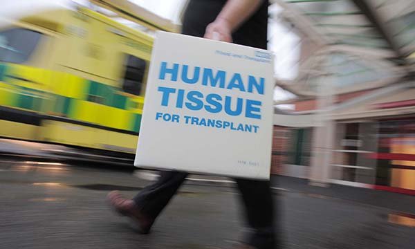 Transplant_Boxes