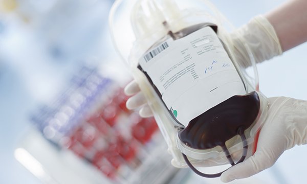 bag of blood ready for transfusion – complying with safety protocols and positive patient identification are essential to reduce risk