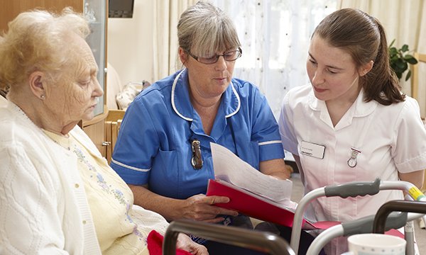 Picture shows a nurse and nursing student sitting at a patient's bedside looking at documents