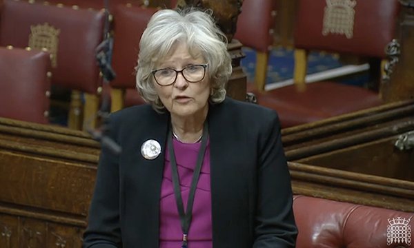 Baroness Sheila Hollins speaking in the House of Lords