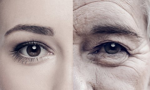 Using the Relating to Older People Evaluation tool to measure ageism in higher education