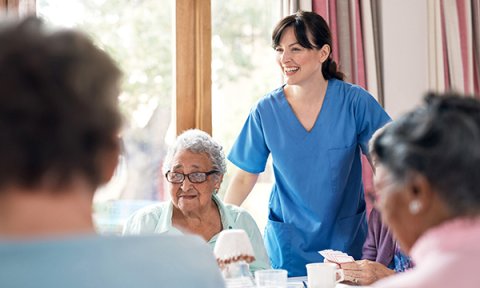 ‘Guiding Lights for effective workplace cultures’: enhancing the care environment for staff and patients in older people’s care settings