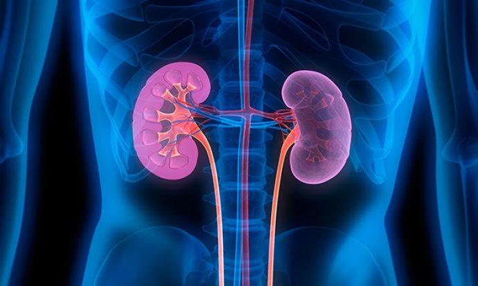 Conservative management of patients with end-stage kidney disease