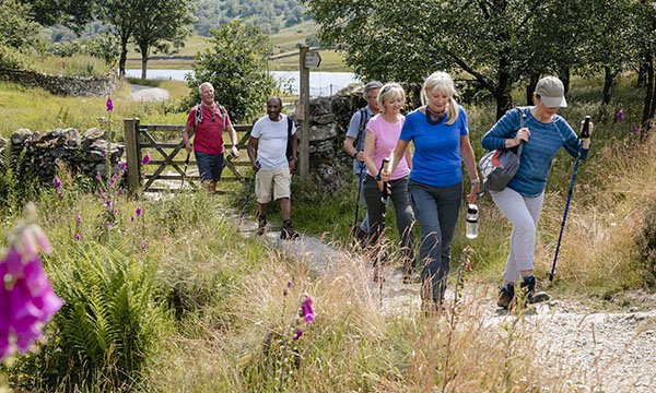 Picture shows a group of older people hiking in the countryside