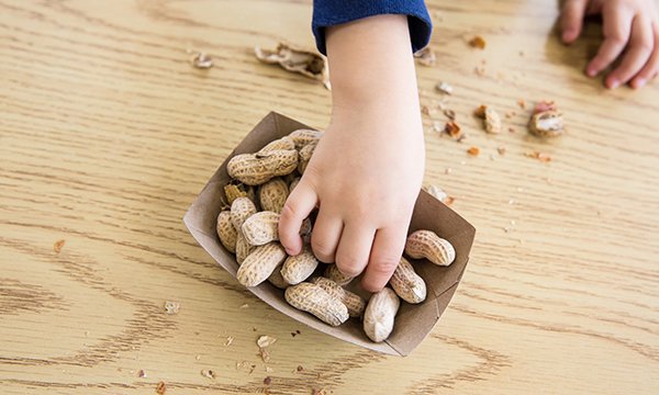 Parental anxiety in food allergy: using a cognitive behavioural therapy approach to guide early intervention