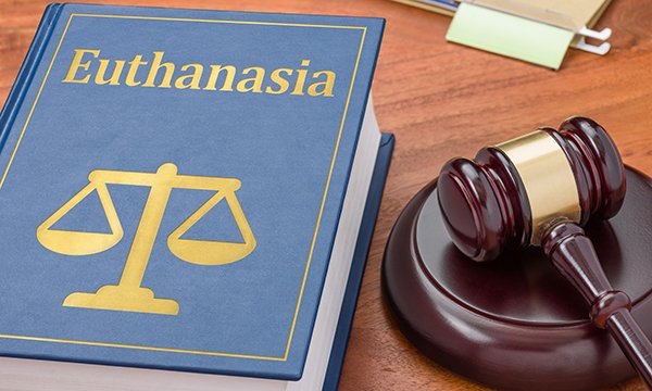 A book entitled Euthanasia with weighing scales beneath the title, next to a gavel with a folder of documents just above them