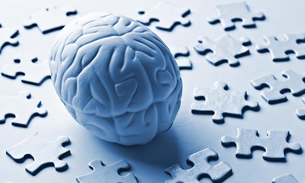 Jigsaw and brain