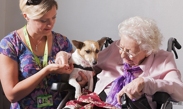 A woman carer and therapy dog with an elderly female patient