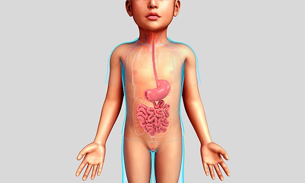 Biological basis of child health 8: development of the gastrointestinal system and associated childhood conditions
